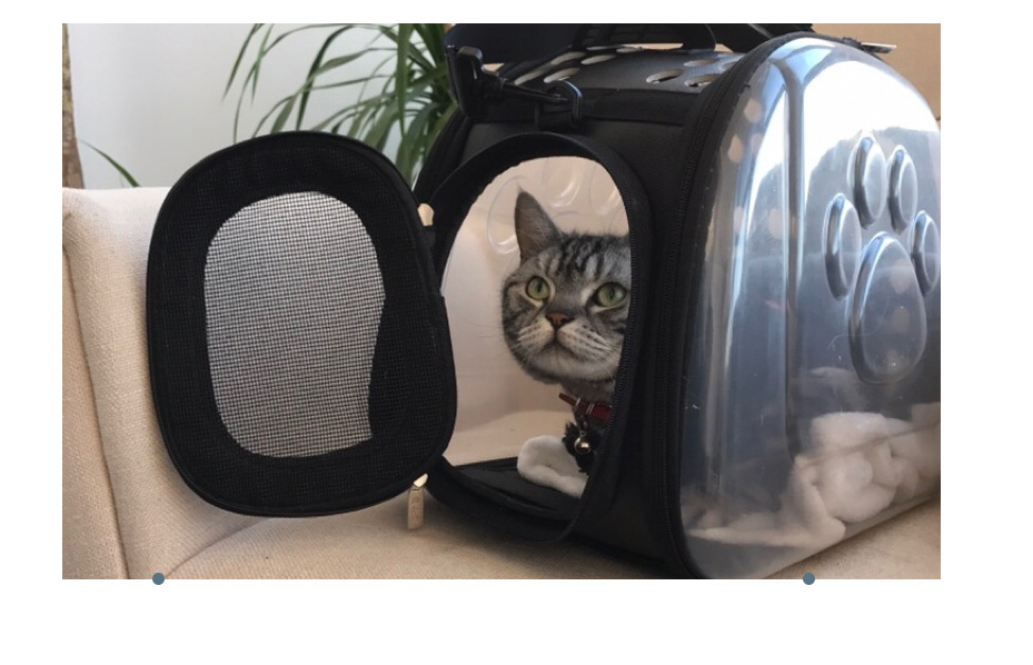Pet Backpack for Cats and Dogs
