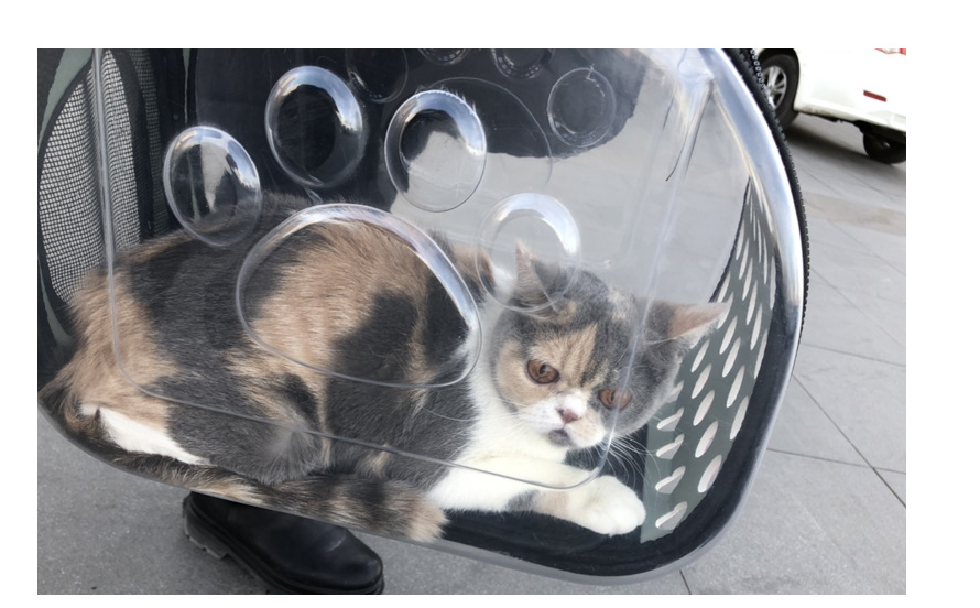 Pet Backpack for Cats and Dogs